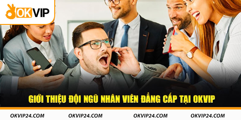 Tìm hiểu đội ngũ nhân sự của OKVIP